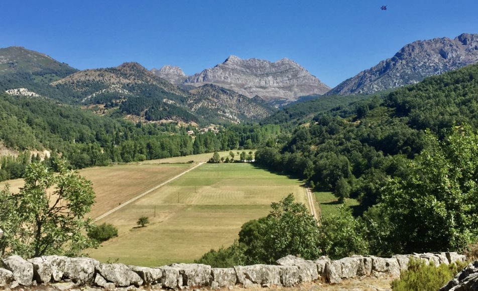 Arboles y montañas al fondo