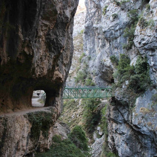 Puente en las montañas