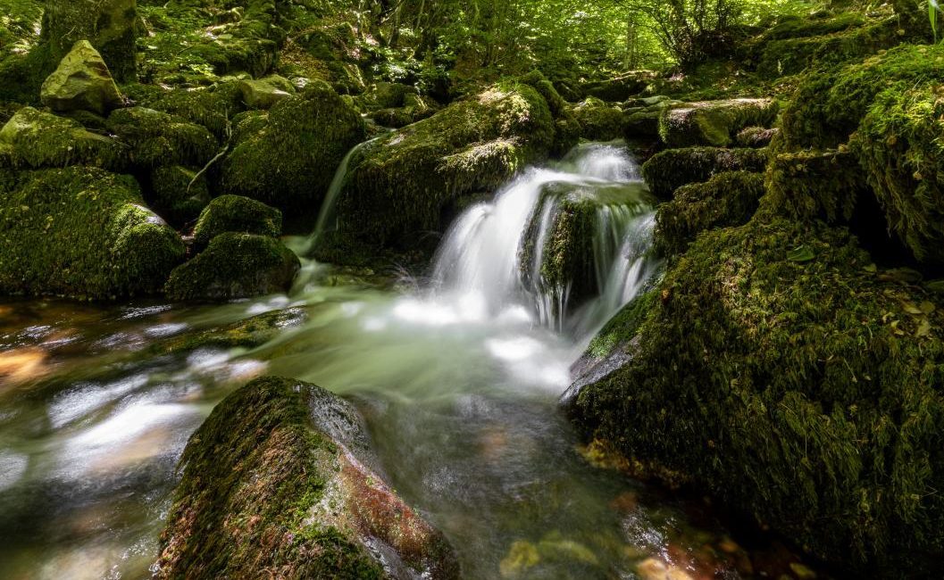 Riachuelo entre las rocas