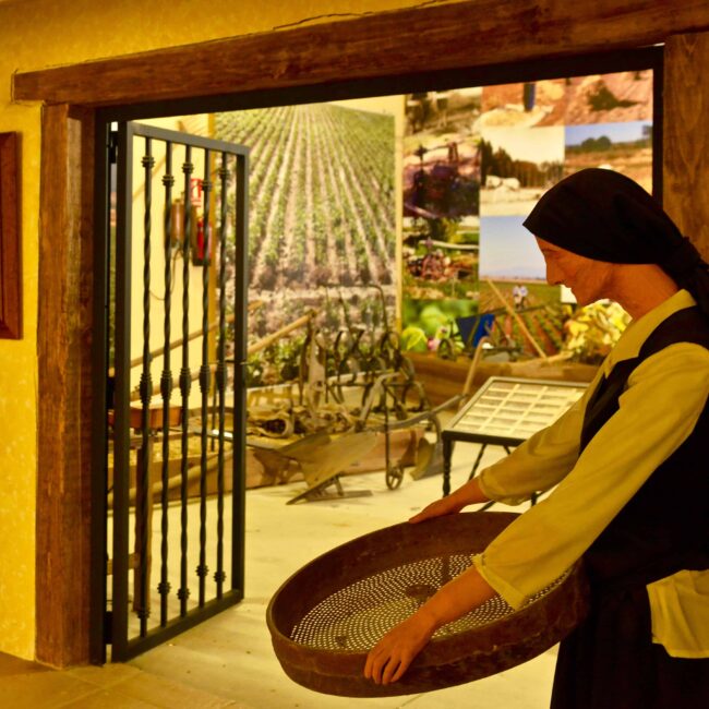 Museo de la alubia Interior