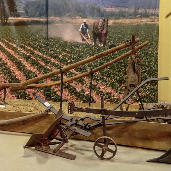 Museo de la alubia Interior