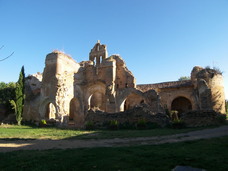 Ruinas del Monasterio de Santa María de Trianos