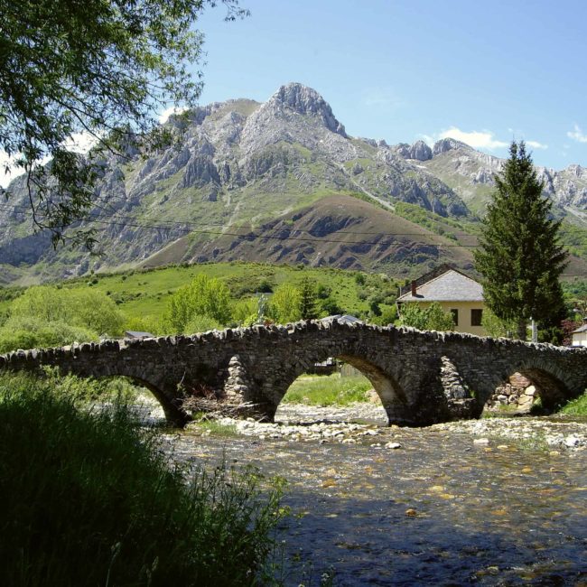 Puente en un pueblo