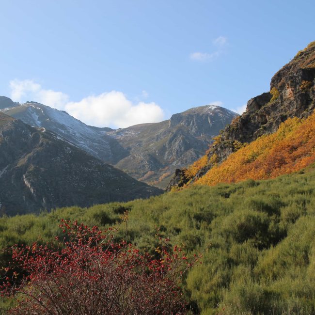 Montañas con vegetación