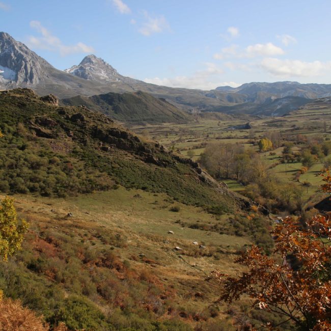 Montañas con árboles