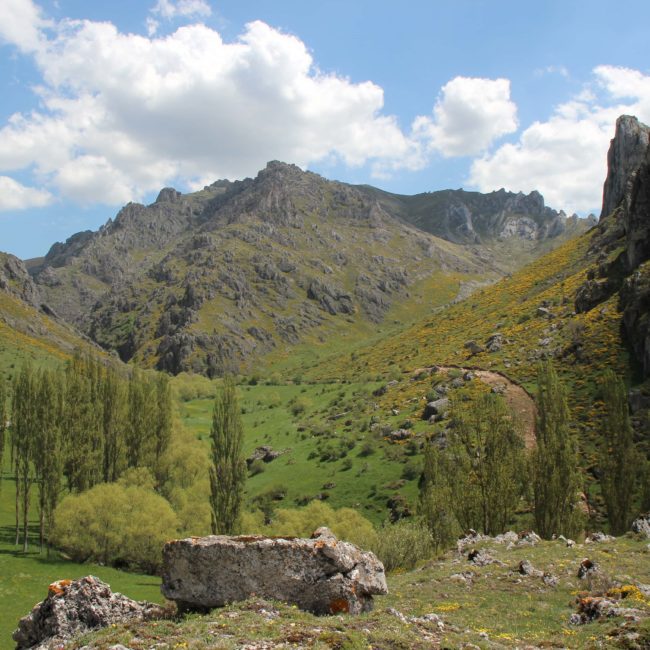 Montañas y un valle