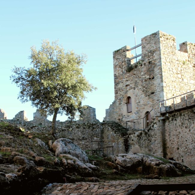 Estructura del castillo