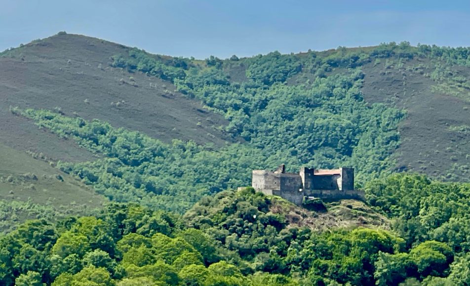 Castillo entre los arboles