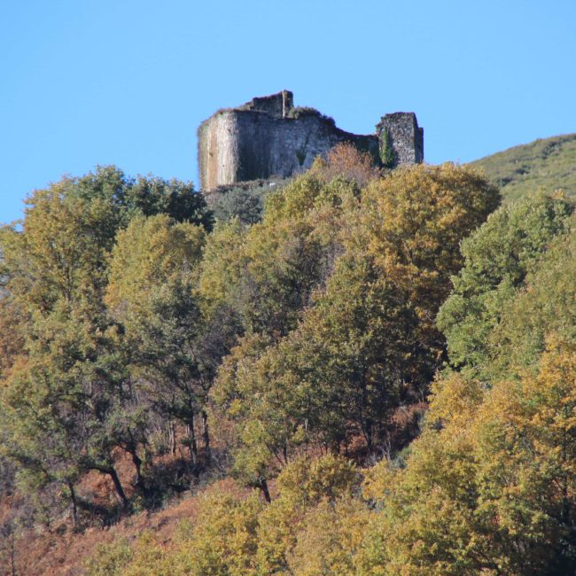 Castillo entre los arboles