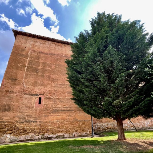 Pared del castillo junto a árboles