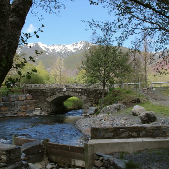 Río atravesando un pequeño puente