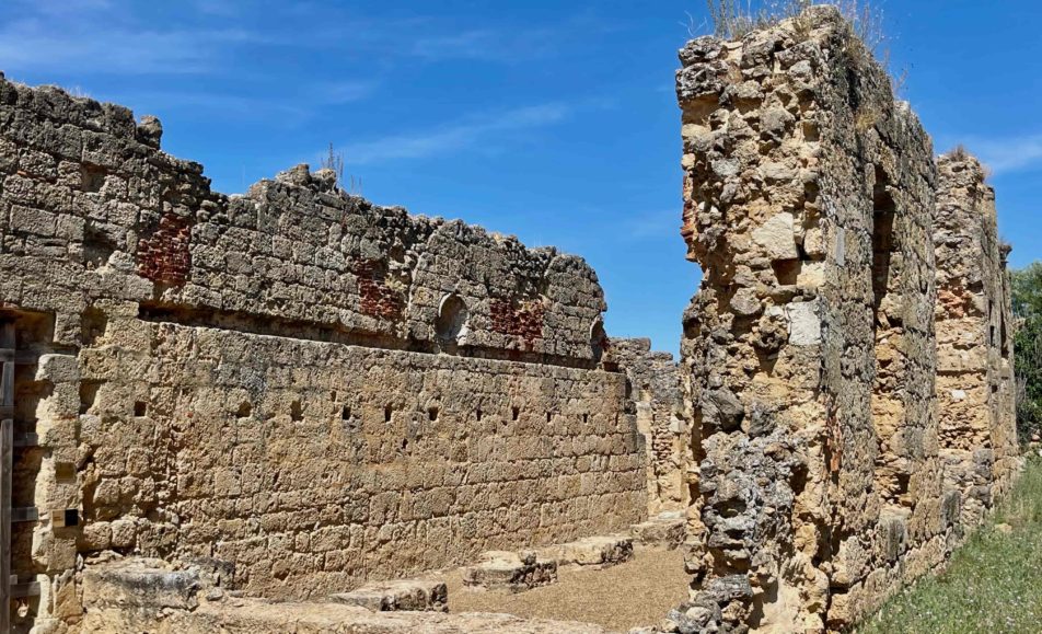 Ruinas del monasterio