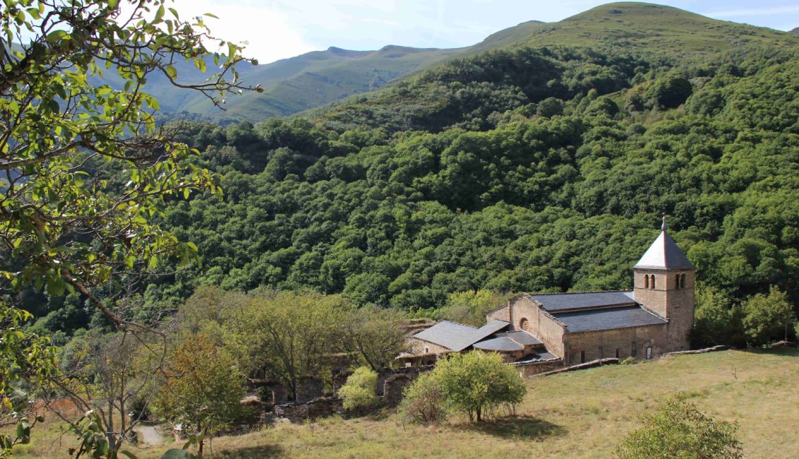 Monasterio entre el bosque