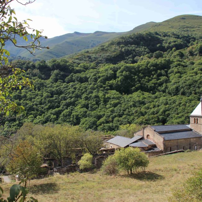 Monasterio entre el bosque