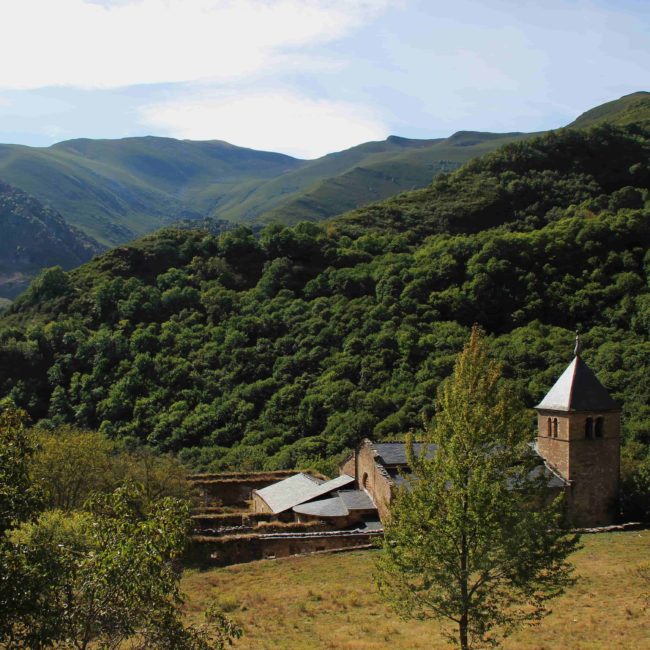 Monasterio entre el bosque