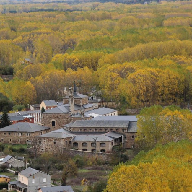 Pueblo entre bosque