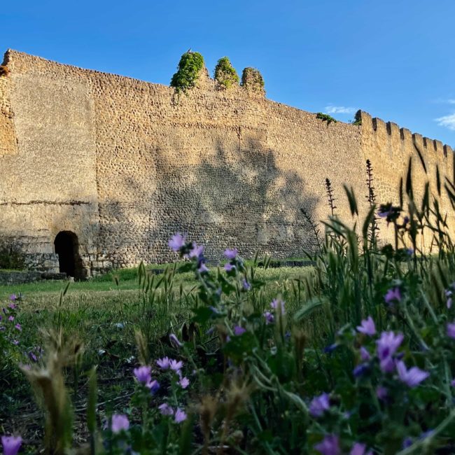 Murallas de piedra