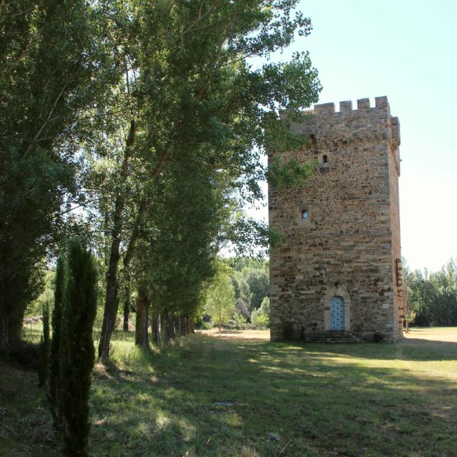 Torreón de piedra entre los árboles