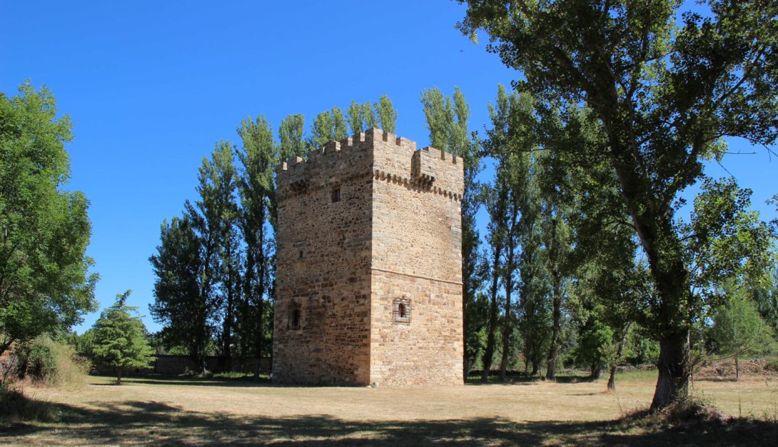 Torreón de piedra entre los árboles