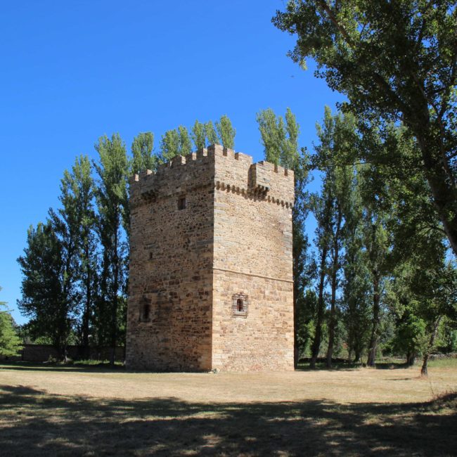 Torreón de piedra entre los árboles