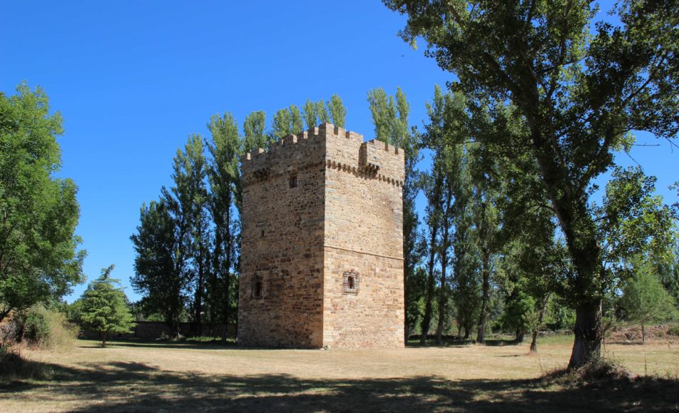 Torreón de piedra entre los árboles