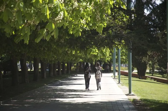 Paseo de la Condesa