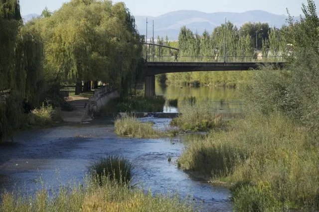 Orillas del Bernesga