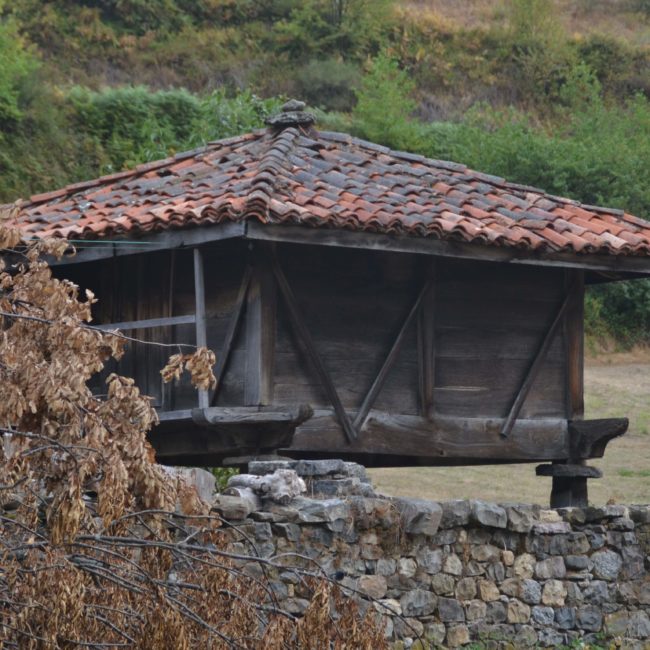 Hórreo de madera