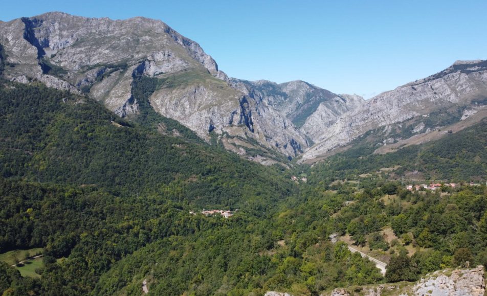 Bosque con montañas lejanas