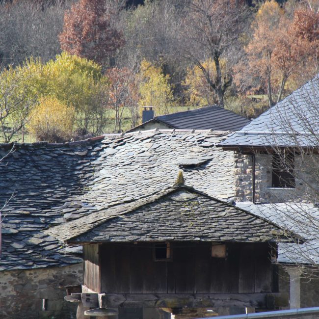 Hórreo con casas