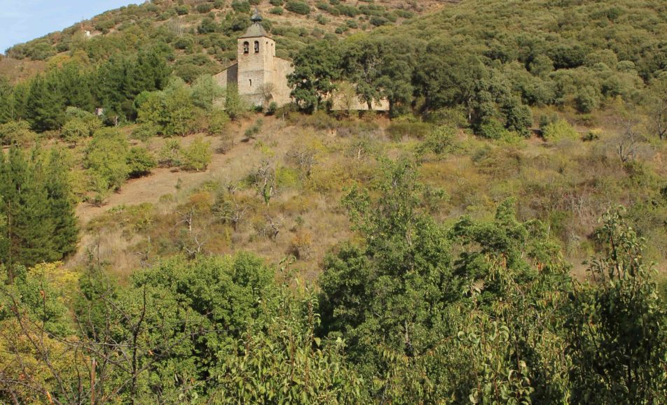 Iglesia al fondo rodeada de árboles