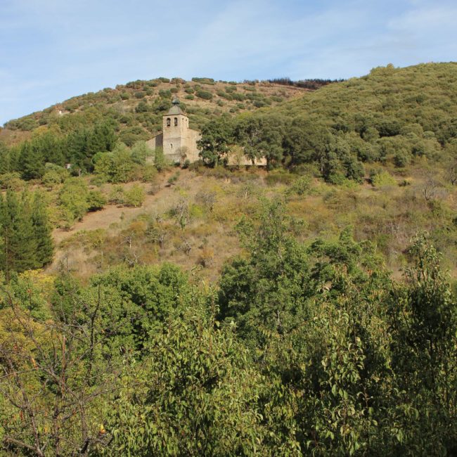 Vista lejana de la iglesia entre los árboles