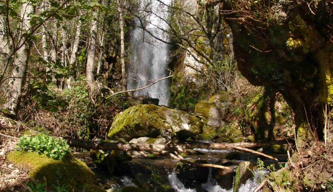 Cascada de agua en el campo