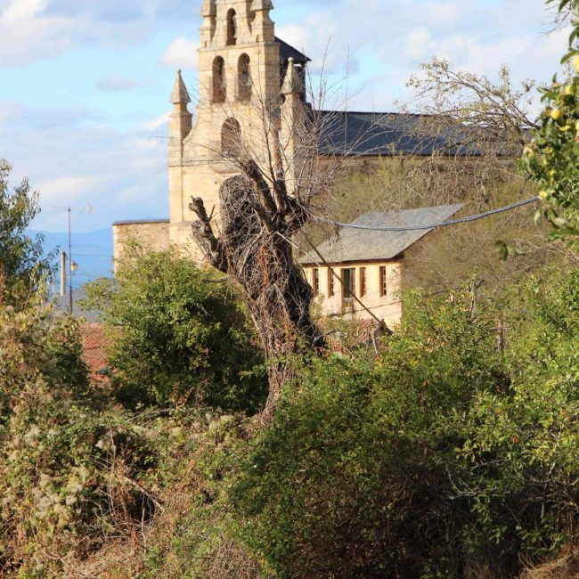 La iglesia vista entre árboles