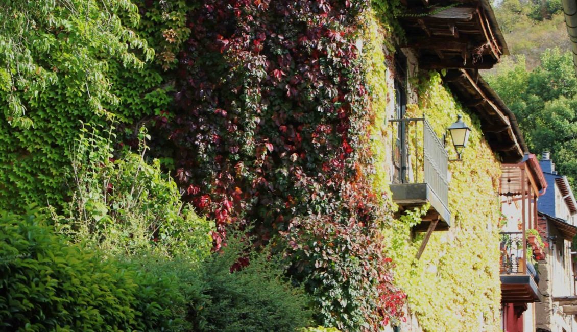 Casas cubiertas de plantas