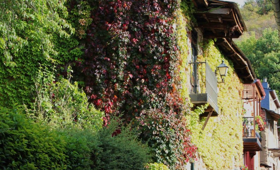 Casas cubiertas de plantas