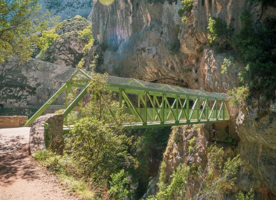 Puente verde