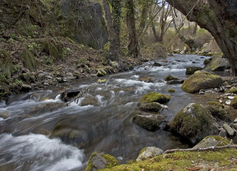 Río por el bosque