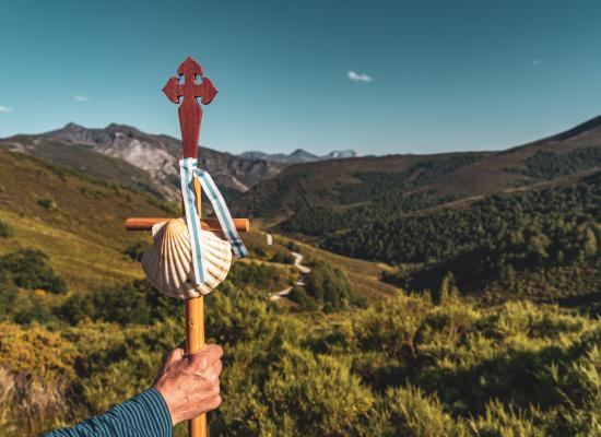 Bastón del camino