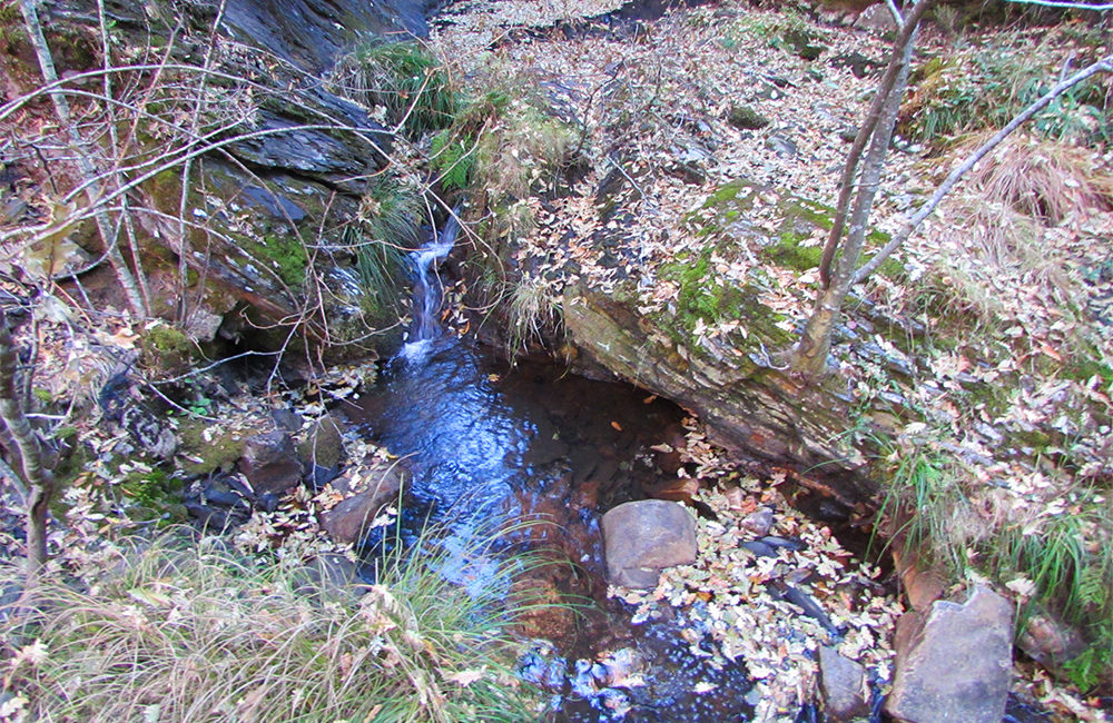 Agua entre rocas