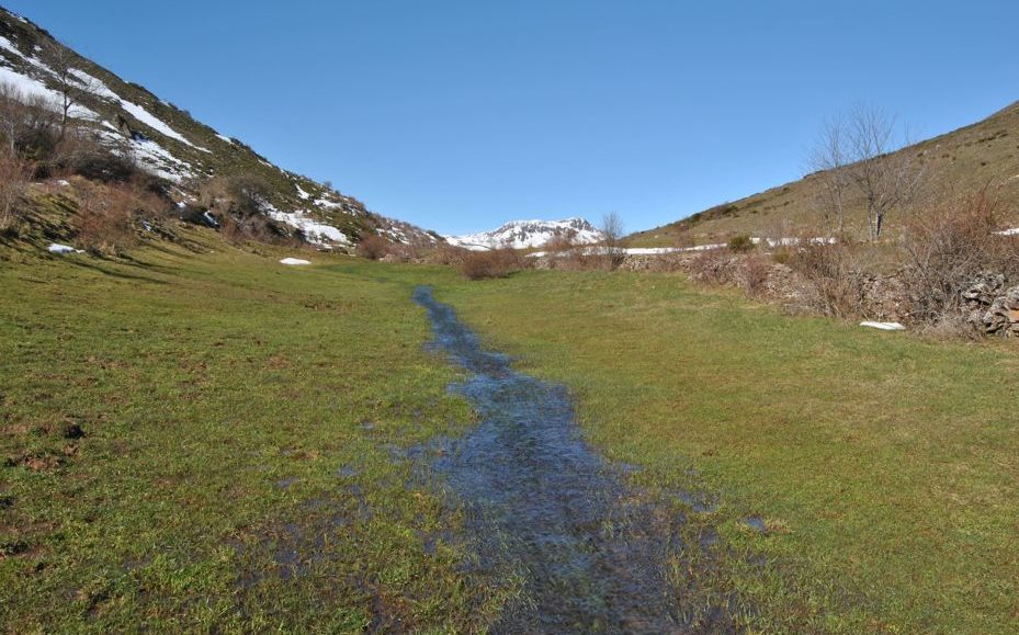 Riachuelo en el valle