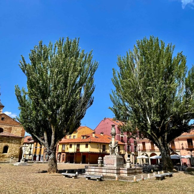 Plaza del grano de León