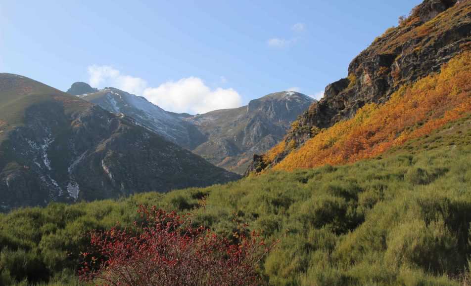 Parque Natural de Babia y Luna