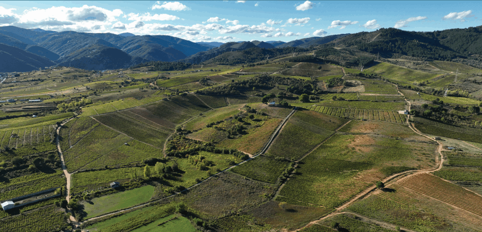 Enoturismo en el Bierzo